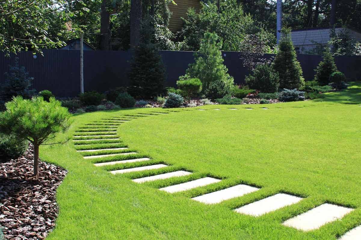 Декоративный газон.