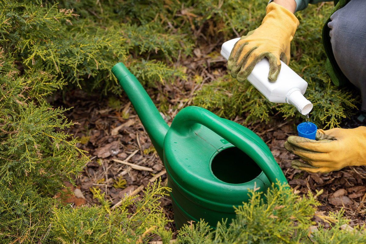 Осенью никакого азота