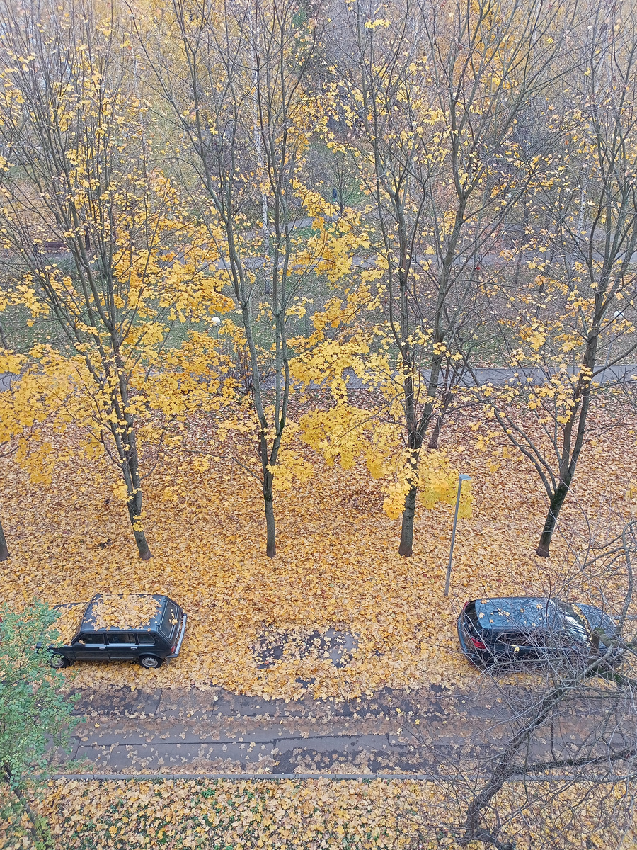 Вид из окна 26.10.2024