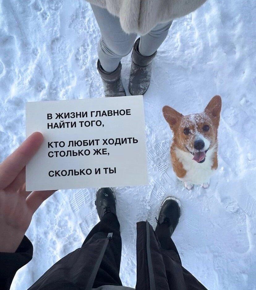 Из пространства интернета 