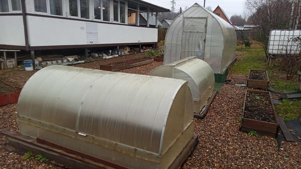 Теплицы надо очистить от остатков плёнки, растений, снять и вынести верхний слой почвы. Фото: Владислав Поспелов