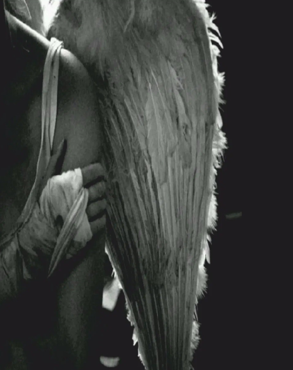 Фото взято из свободного бесплатного доступа.