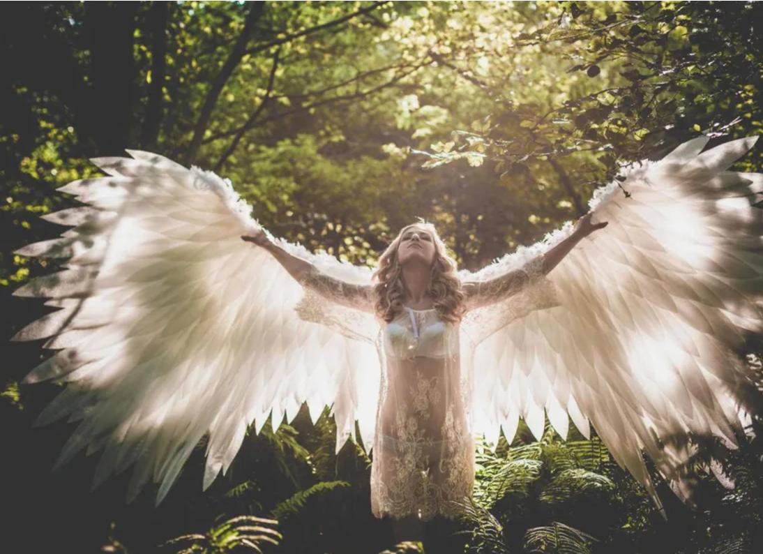 Фото взято из свободного бесплатного доступа в интернете.