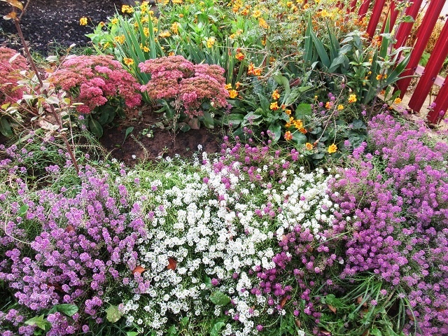 фото автора 25 октяюря 2024 г