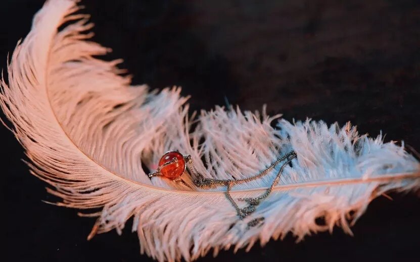    Лунный календарь на ноябрь 2024: прогноз по здоровью и отношениям