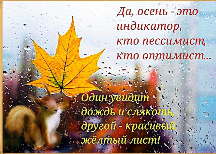 Фото из интернета. 