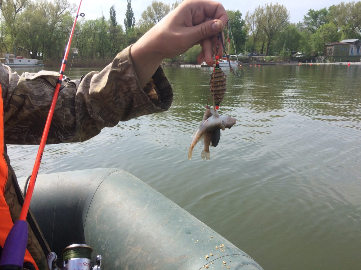 Фото с сайта: https://rybalka.tv/upload/blog/9d5/9d55d3b329d81dd7765506a692b5e1da.jpg