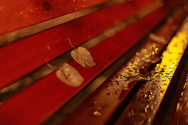 Выходные в Твери будут пасмурными, никаких «пятнашек» с солнцем