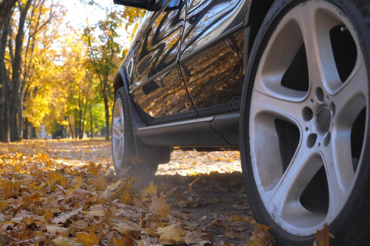     123RF/legion-media.ru