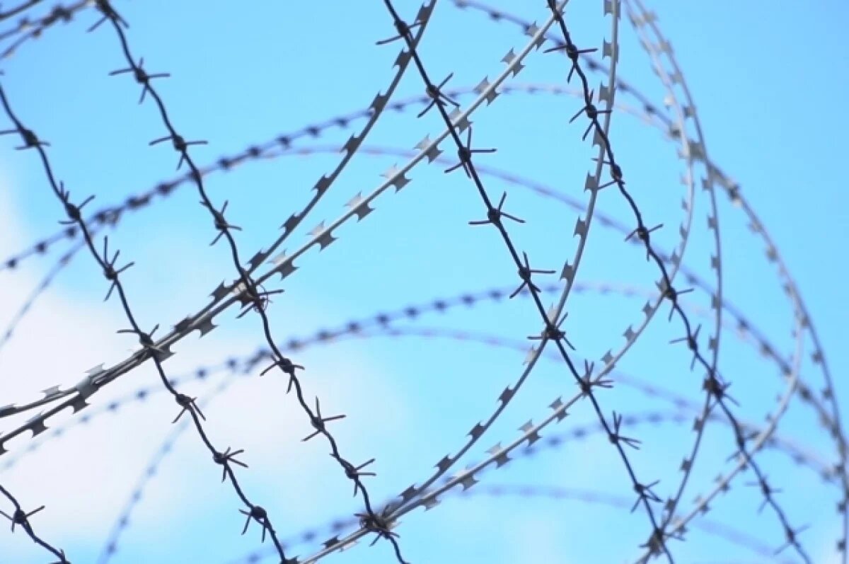    Для побега из колонии в Липецкой области заключенные сделали два подкопа