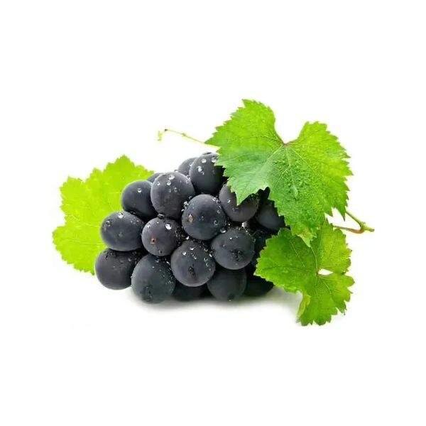 Из открытого источника 