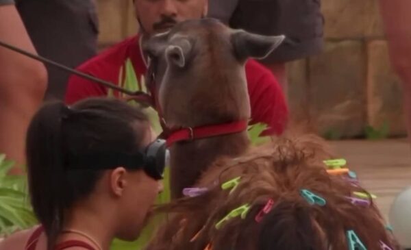    Natan и Лерчек на проекте. Фото: скрин