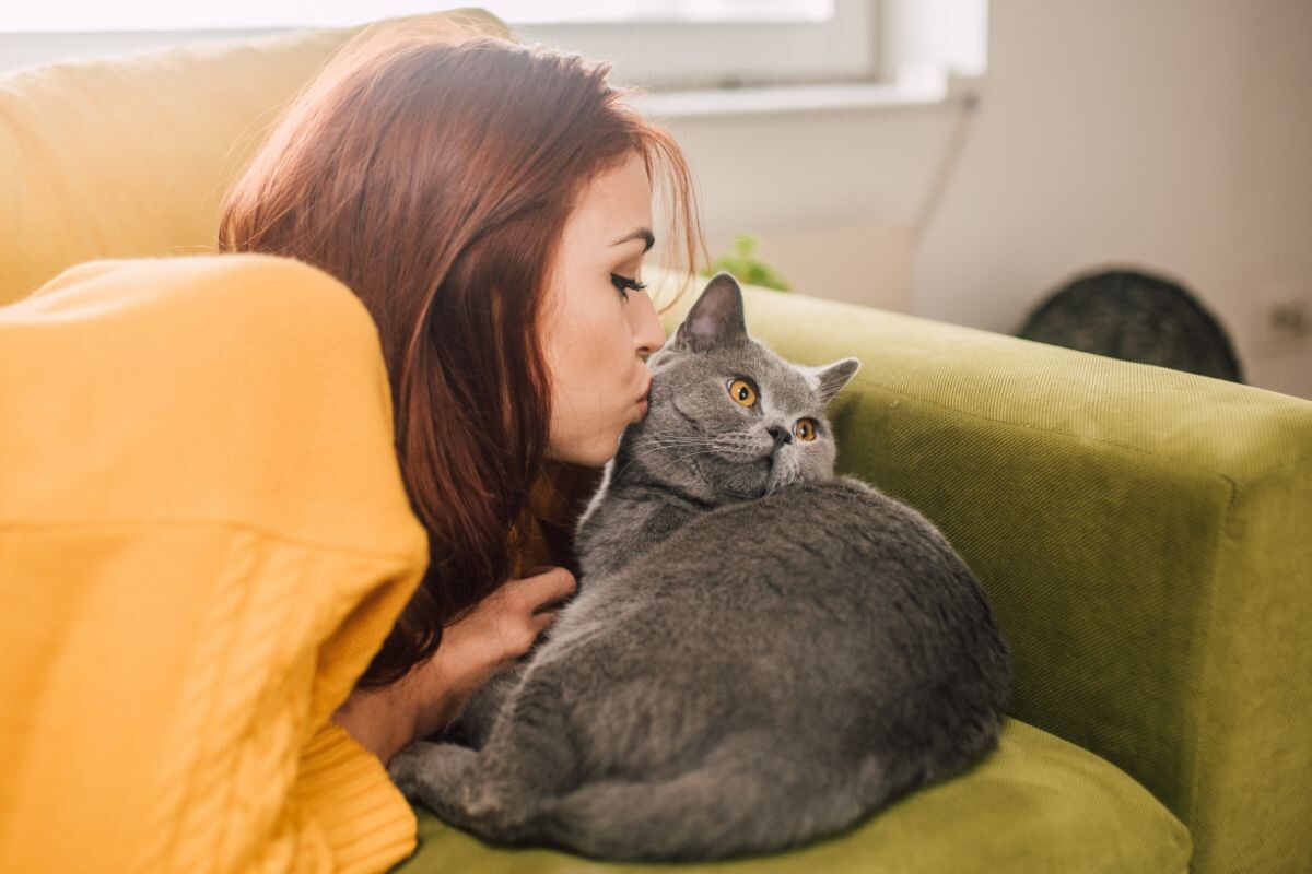 Нравится ли кошкам, когда их целуют