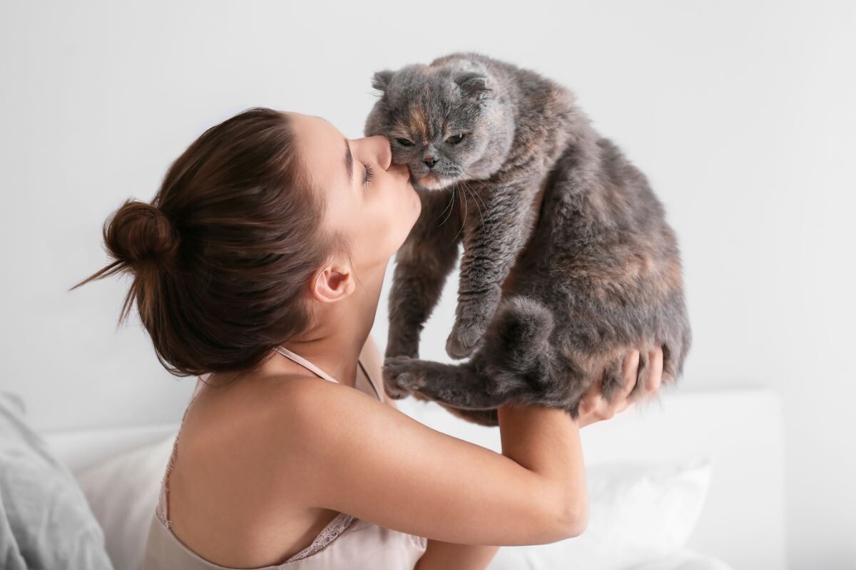 Женщина целует кота 