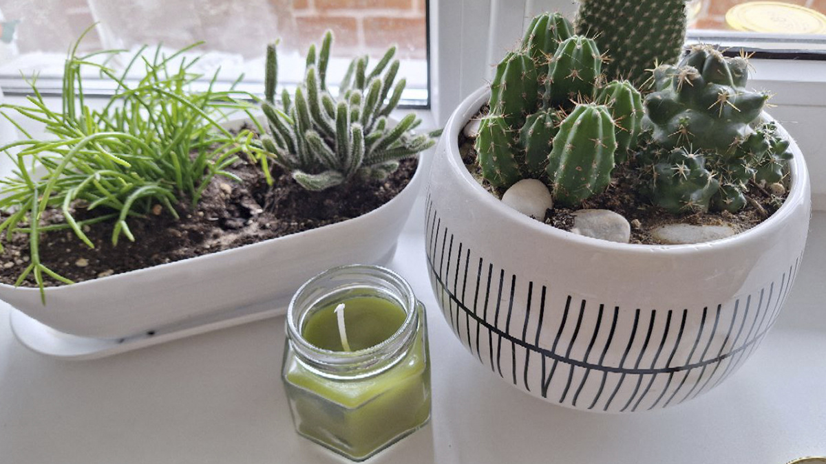 Запах ароматической свечи расслабляет и успокаивает