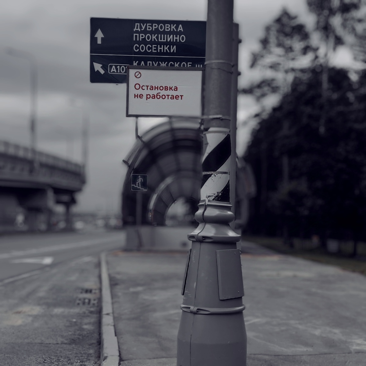 По дороге к полигону. Фото мои 