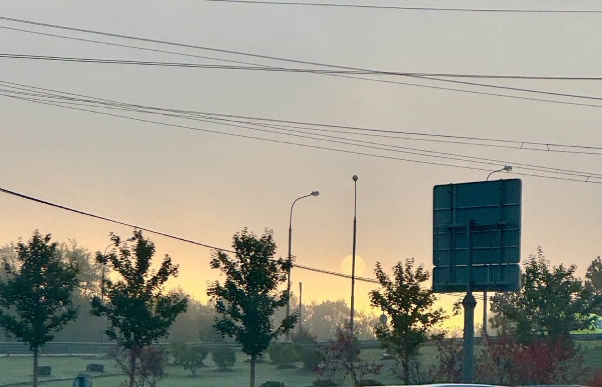 #AstrologyNelly #рак #астрология #важныегода