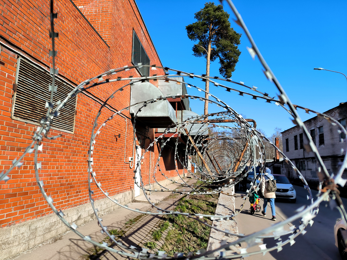 Фото: Maksim Konstantinov / Global Look Press