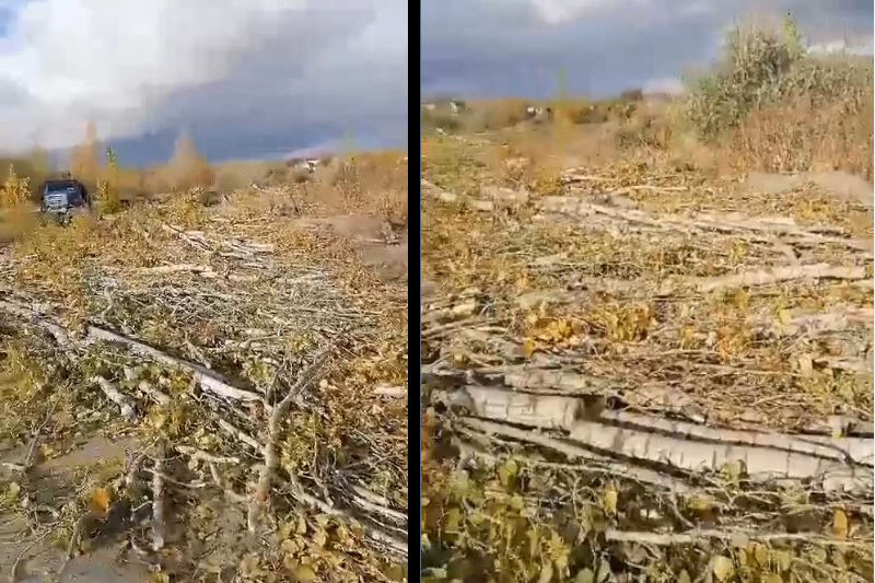    Скриншоты с видеозаписи (видео ниже)