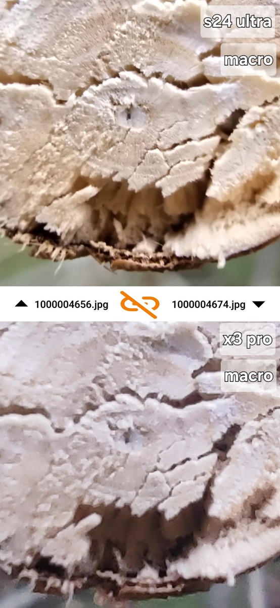 Срез ветки на макро модуль.