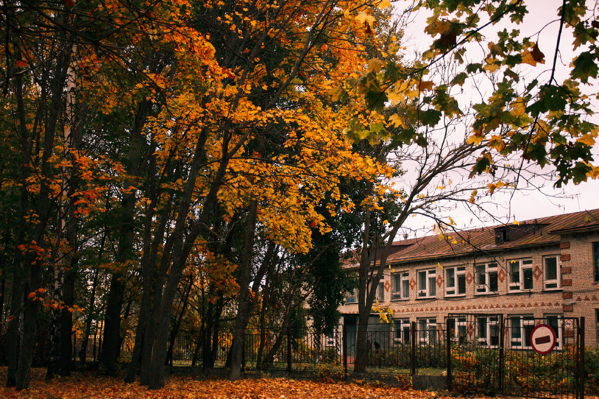 Школа, в которой проработала больше 30 лет. 