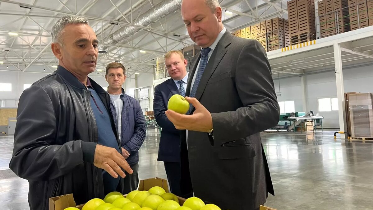     Источник: Правительство Ростовской области