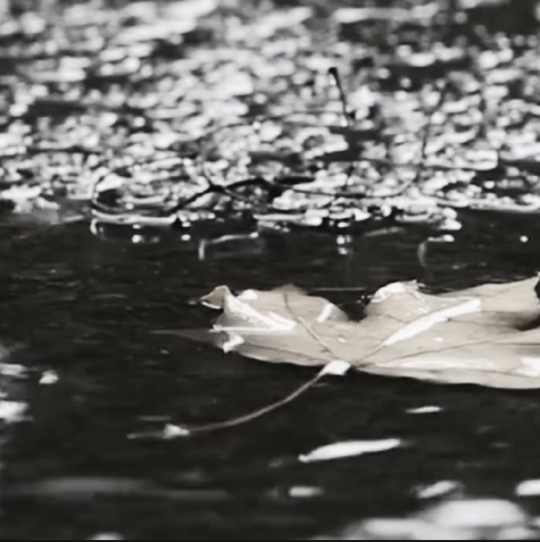 Мир окрашен в серый. 
Шепчет мне листва: 
«Здравствуй, вытри слезы, 
выходи сюда».

Словно будто в плене 
я смотрю в окно 
сквозь тучи лучи света, 
а на душе тепло.

Не найти ответа 
на вопросы дней: 
только ветер шепчет: 
«Выходи скорей».

Словно капли дождя 
слезы падают опять, 
отвечаю, не томя:
«Выхожу гулять».

Выйду на крылечко, 
посмотрю вокруг. 
Пасмурная осень 
дарит мне уют.

Ветра шепот нежный 
грусть уносит вдаль. 
«Разгони сомнения 
и оставь печаль».

Топаю по лужам, 
слезы по щекам. 
Голос мой простужен, 
сломить себя не дам.

Соберу я радугу 
из капелек дождя. 
Там, где дождь прошелся, 
это грусть моя...
©Костырева Элеонора Н. , октябрь 2024