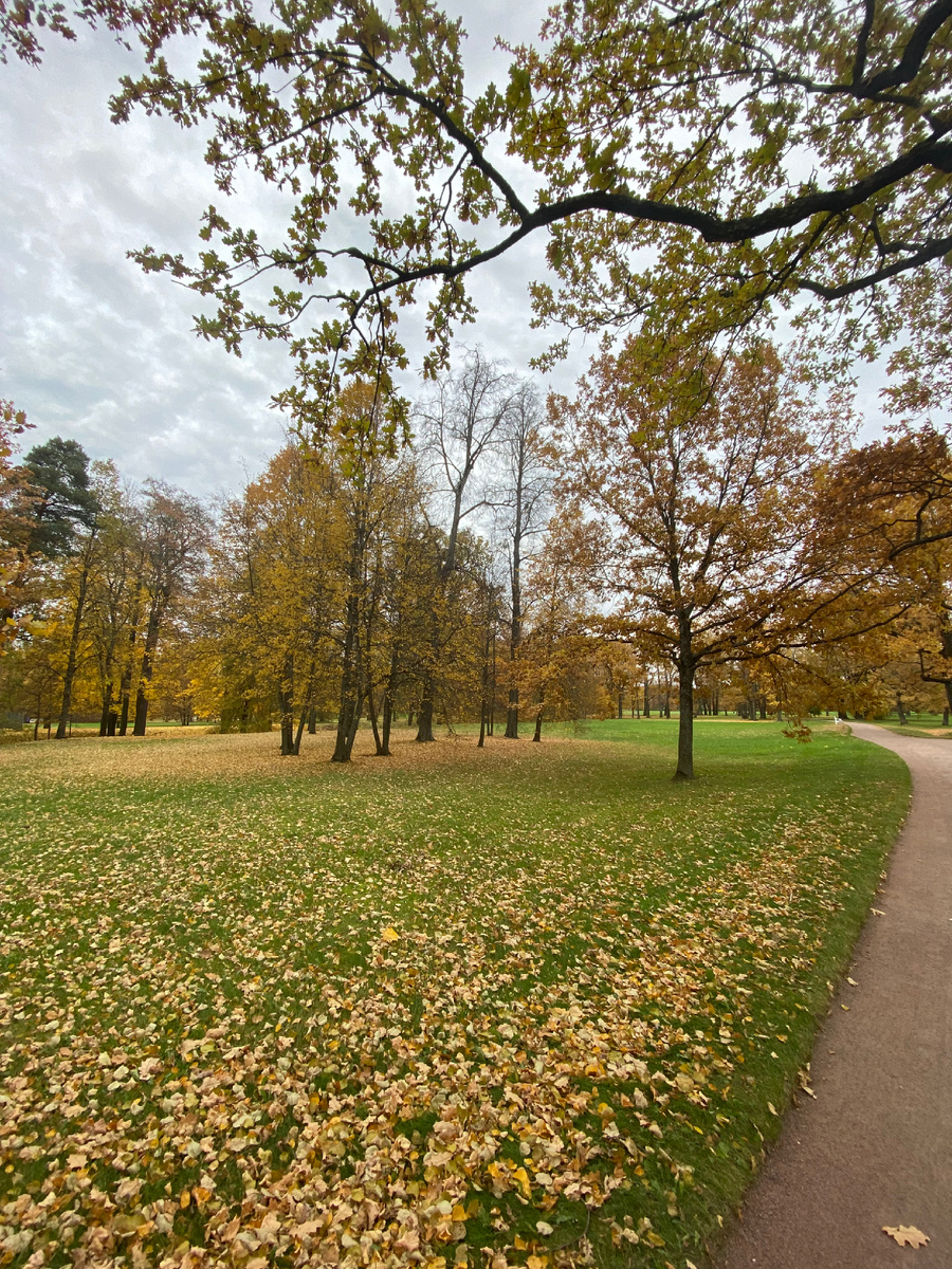 Парк Александрия, СПб