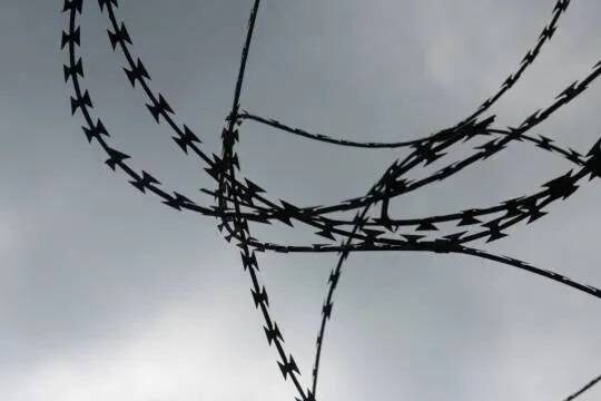    Mash: сотрудники липецкой колонии разрешали заключенным жарить шашлык и пить водку