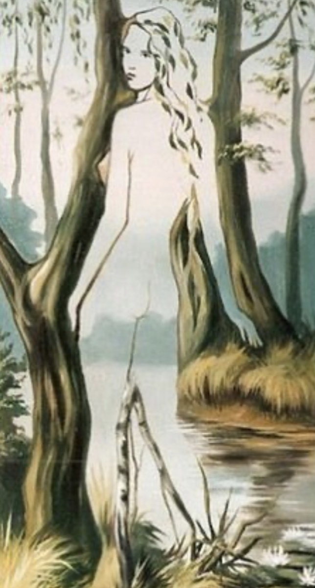 Что увидела первым ? 