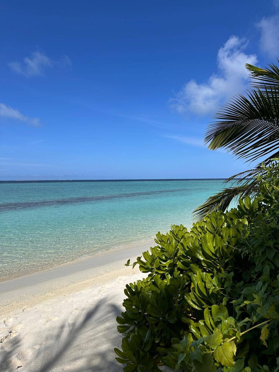 делимся с вами фотографиями отдыха с позволения гостей