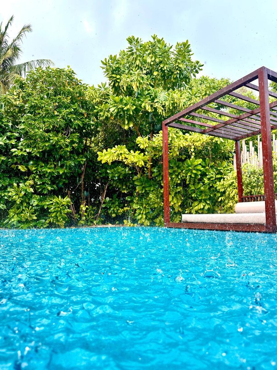 такое решение задачи мы предоставили нашей клиентке 