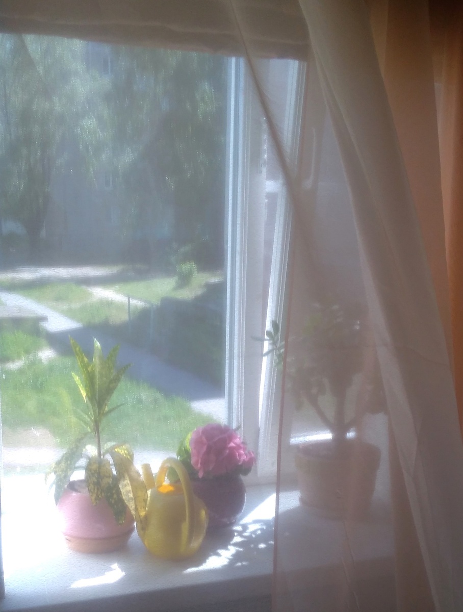 Оранжевое настроение каждое утро.