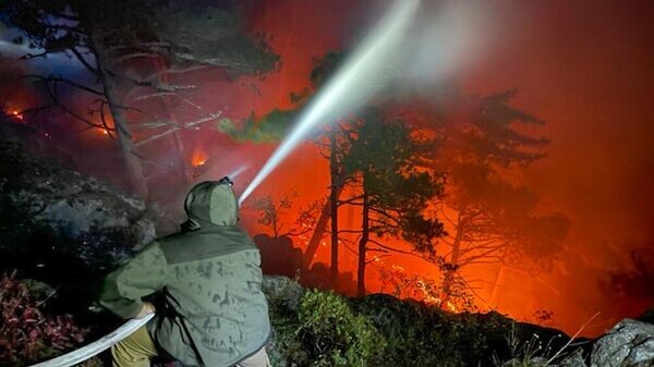    © ФГБУ "Заповедный Крым"