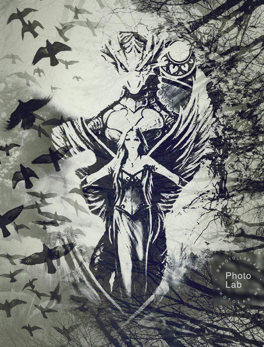 Фотоколлаж автора статьи 