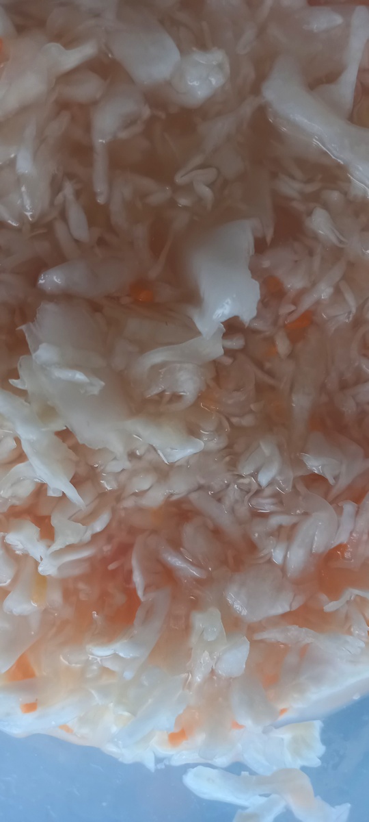 Квашенная капуста.