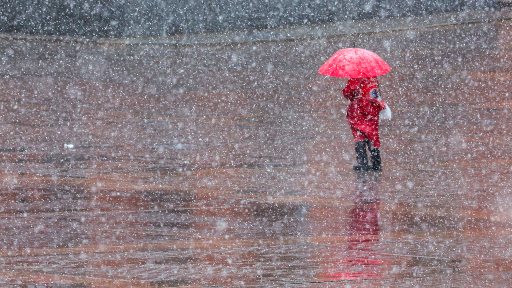    Фото: © Belkin Alexey/news.ru/Globallookpress