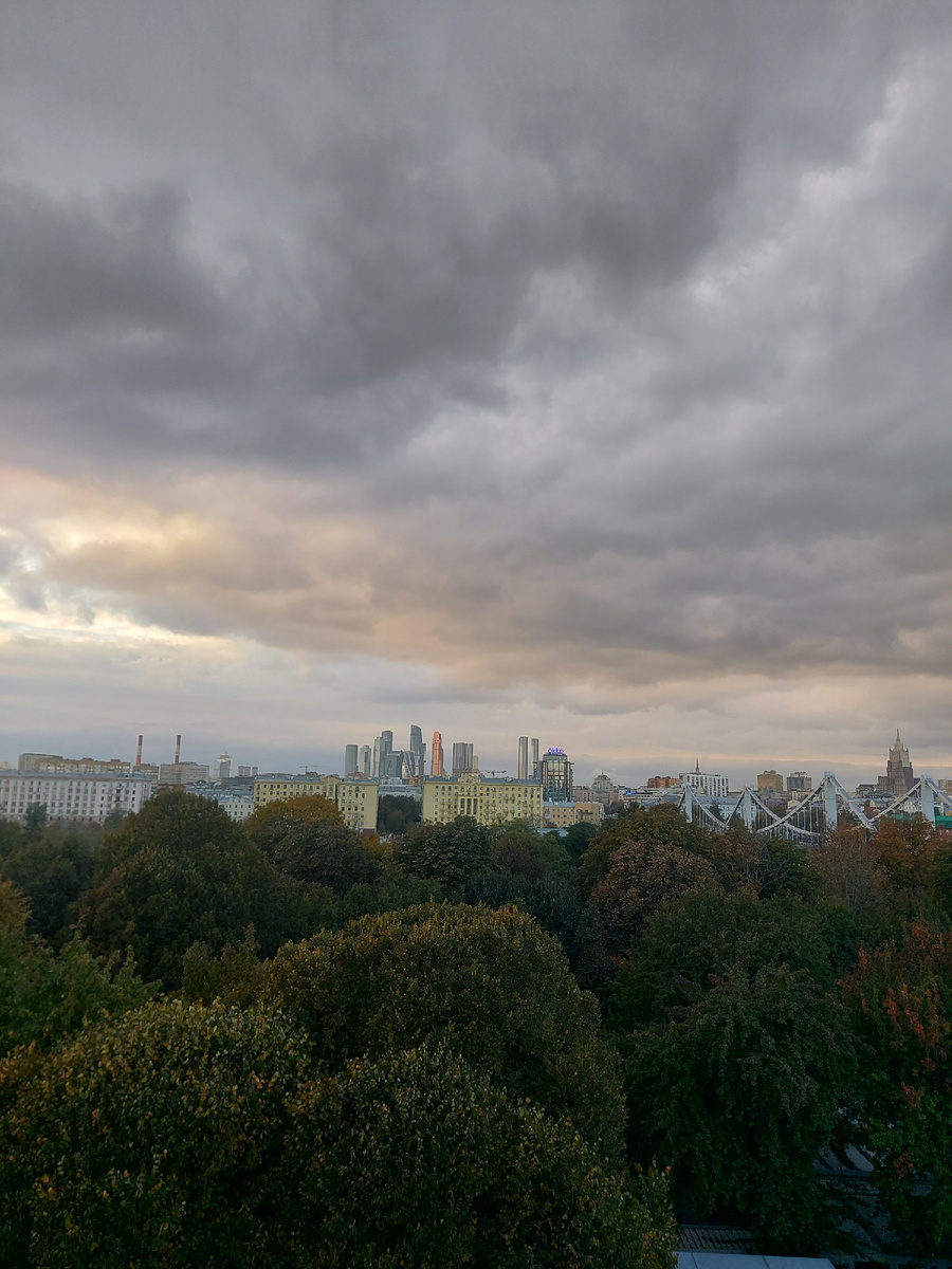 Вид со смотровой площадки Музея Парка Горького
