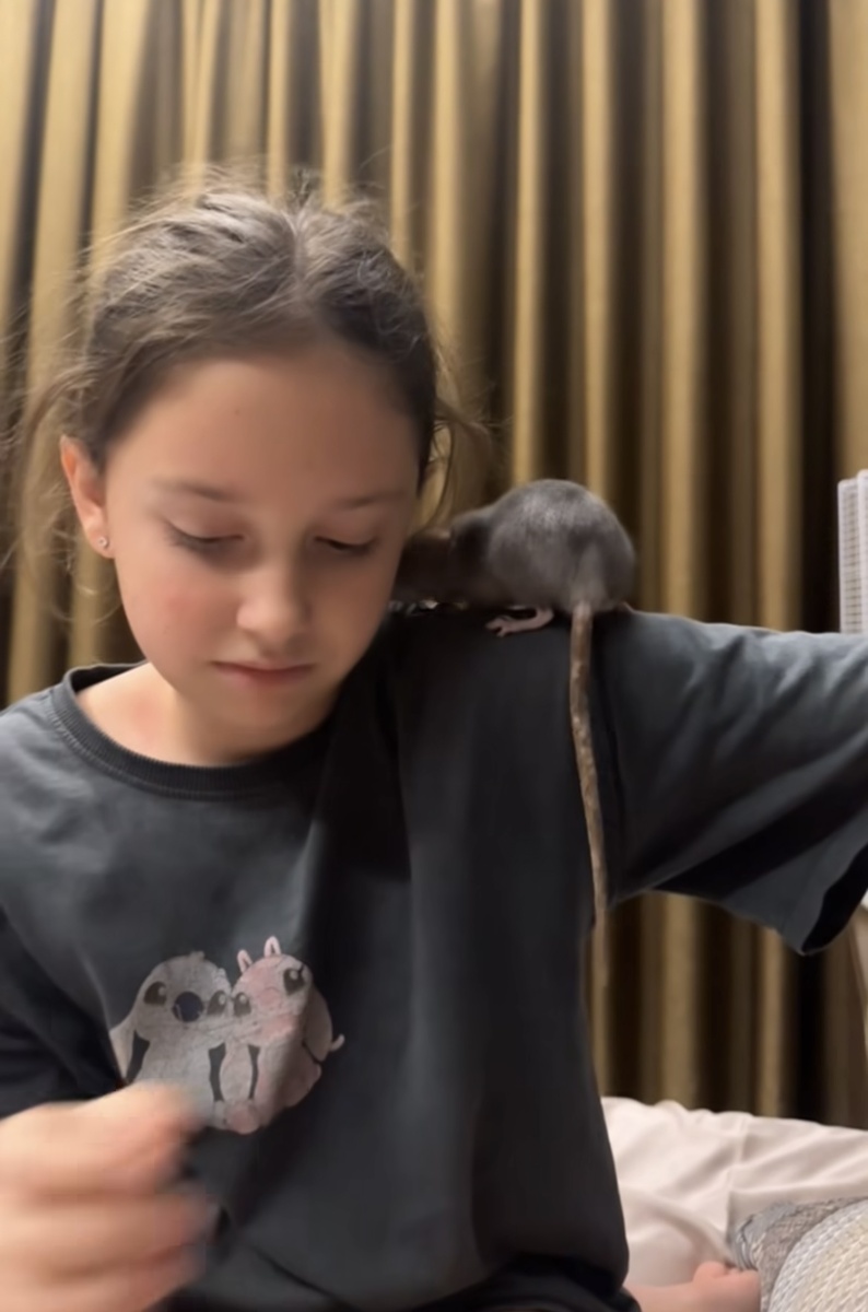    Дочь Агаты Муцениеце и Павла Прилучного живет с мамойСоцсети Агаты Муцениеце