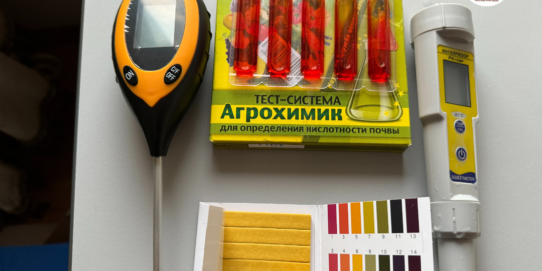 Чем и как определить кислотность почвы