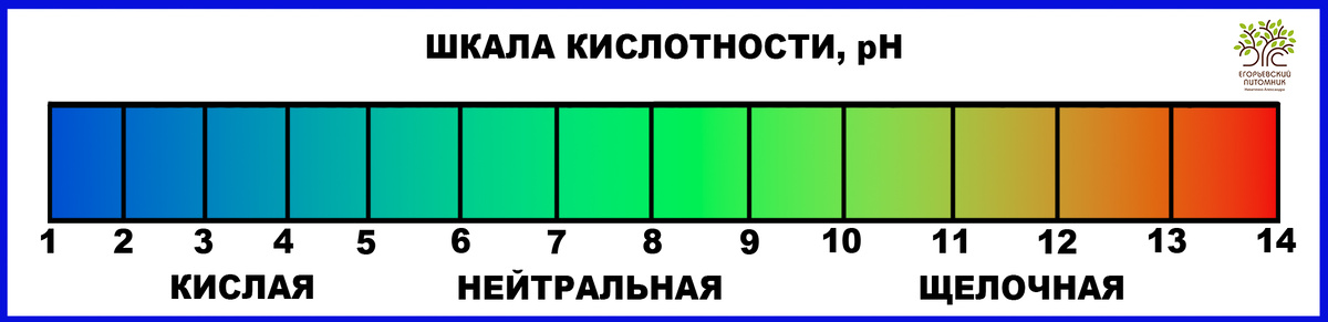 Шкала кислотности