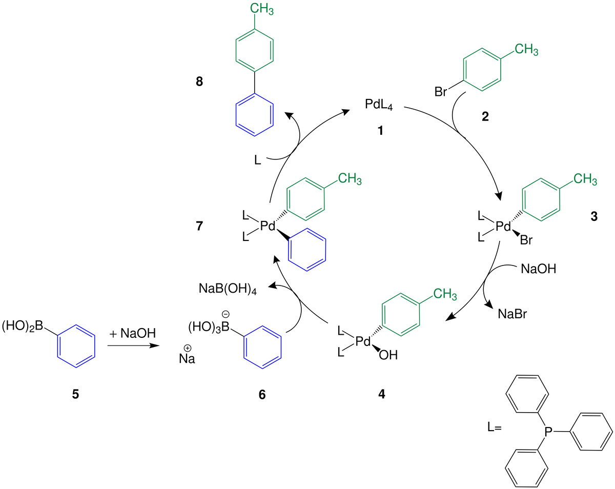   Wikimedia Commons / Public Domain