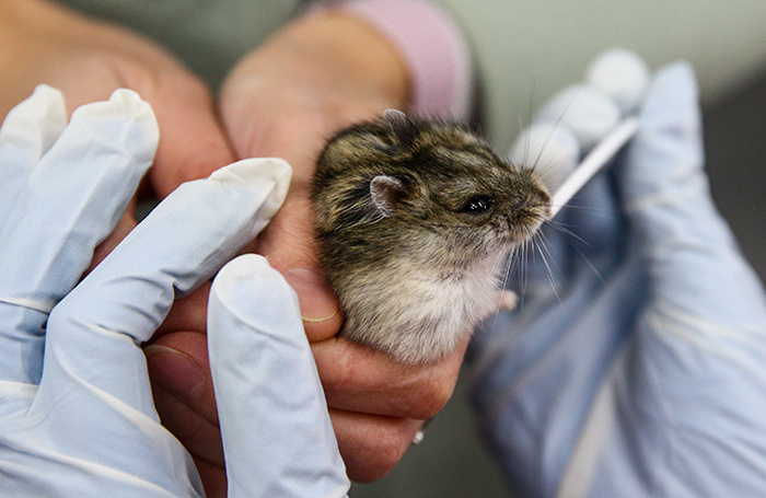    Архивное фото.Егор Алеев/ТАСС