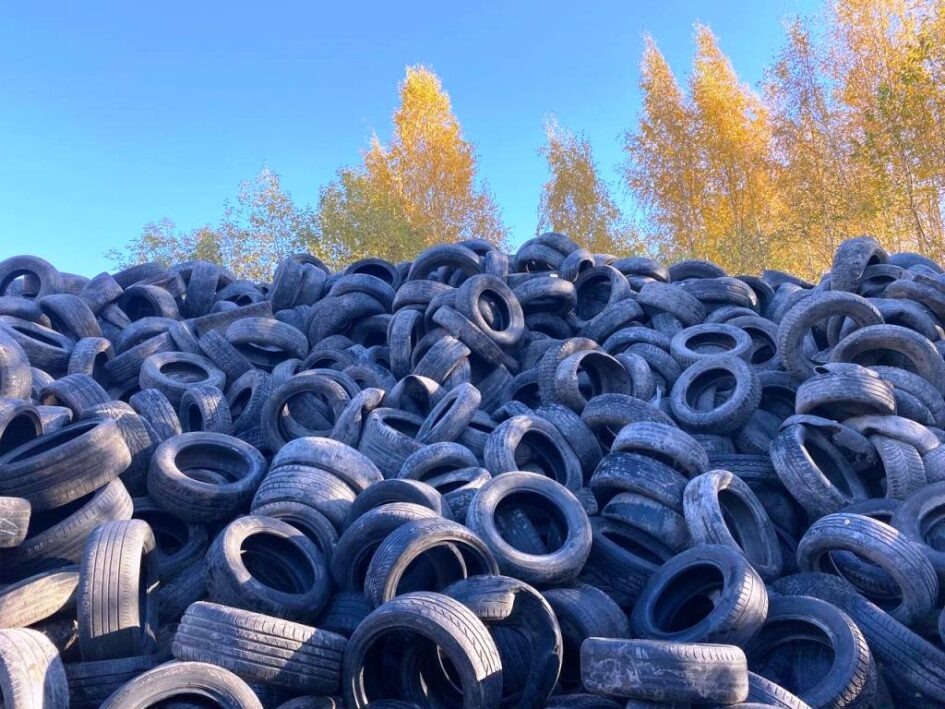 фотография автора