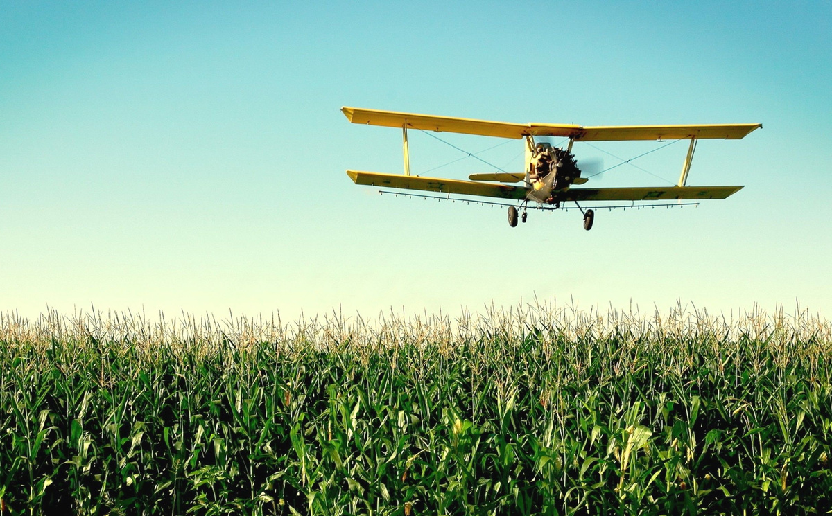 Антонио Серрано всегда старался избегать самолётов, будто чувствовал, что погибнет от них.
(Фото: priroda.club).