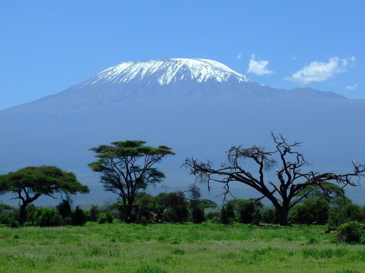    Вид на Килиманджаро в Танзании© Pixabay / Pixabay / Greg Montani