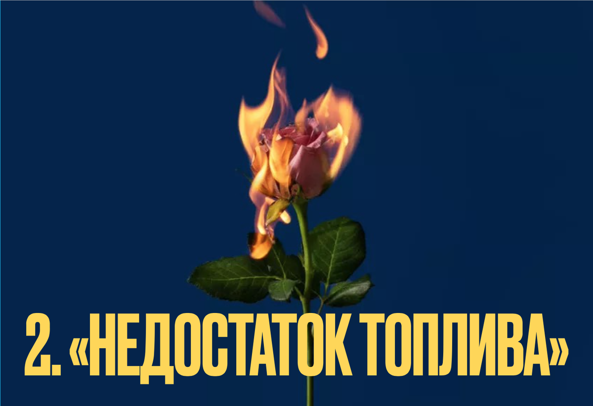 Изображение взято из открытых источников. За что я выражаю огромную благодарность автору/авторам данного изображения