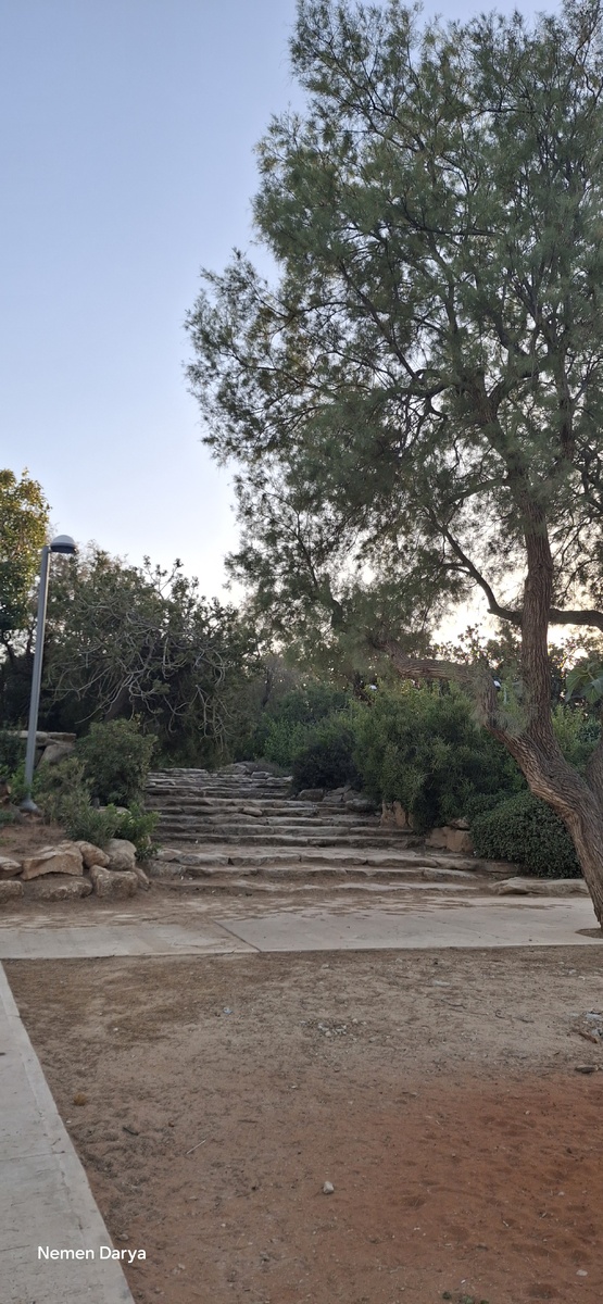 Парк Независимости в Тель-Авиве, фото автора