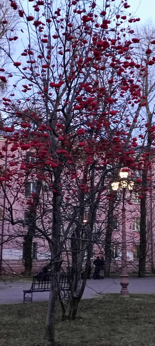 Тот самый сквер.