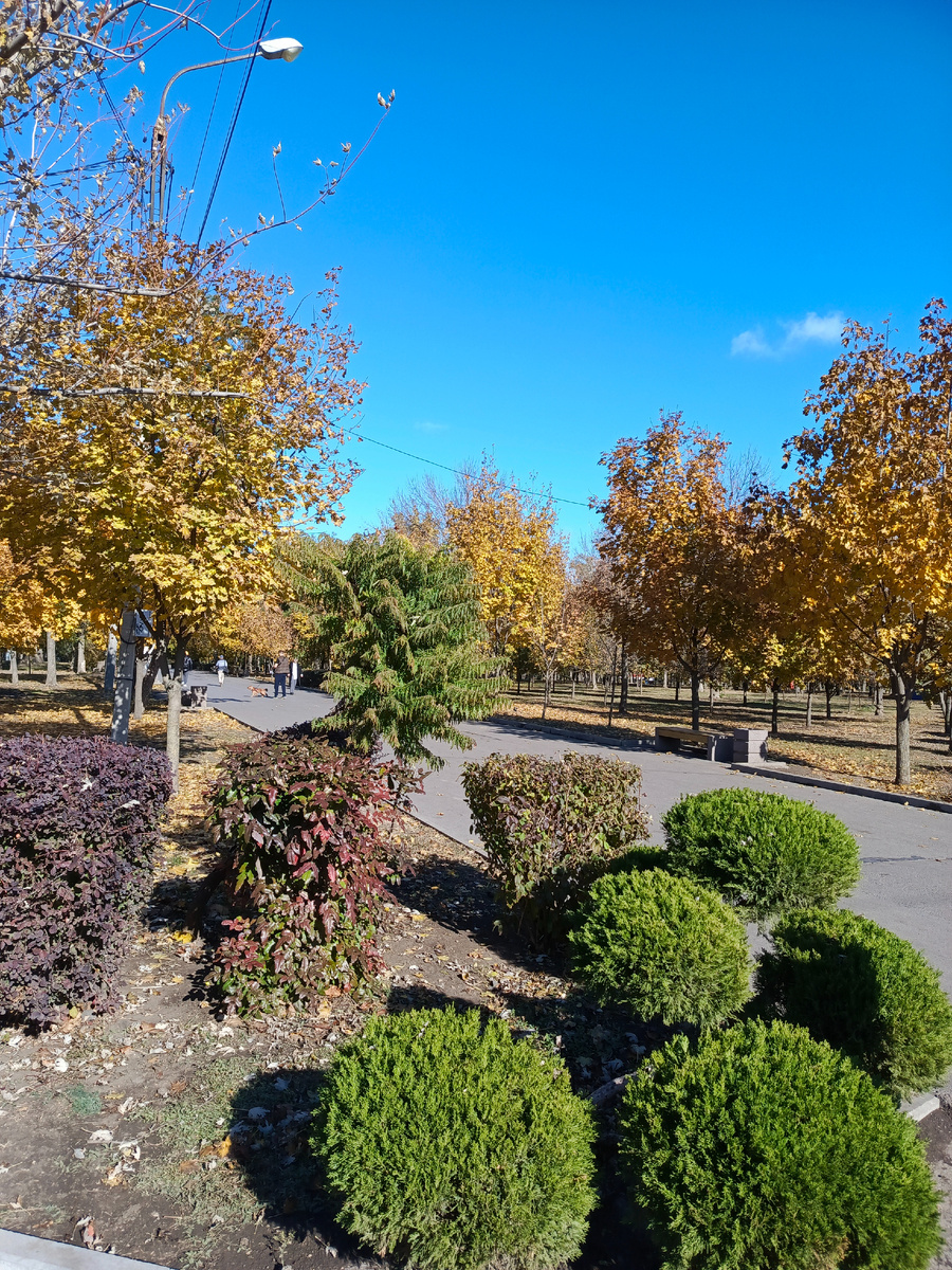 Осенний парк